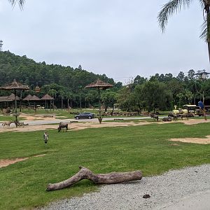 African section of drive-through safari area