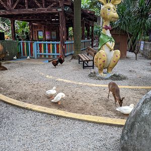 Children's Zoo