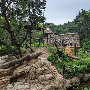 Chimpanzee enclosure