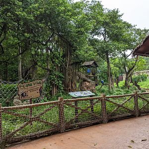 Chimpanzee enclosure