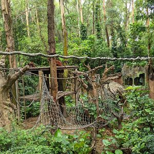 Second Orangutan enclosure