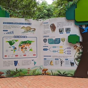 Primate informational signage