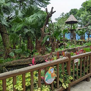 Enclosure for Golden Snubnose Monkeys (Rhinopithecus roxellana)