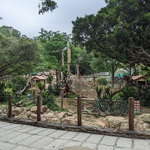 Enclosure for Rhesus Macaques (Macaca mulatta)