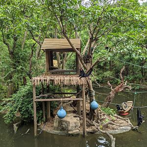 Spider and Squirrel Monkey islands