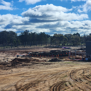 Construction Progress 2 - Elephant Complex