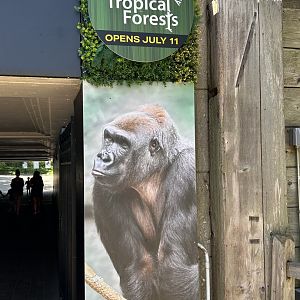 North entrance- new Tropical Forests sign