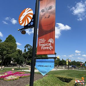 New Tropical Forests banner