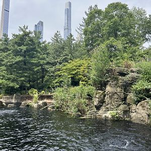 Temperate Territory: Japanese Macaque (Snow Monkey) Exhibit Lower Viewing