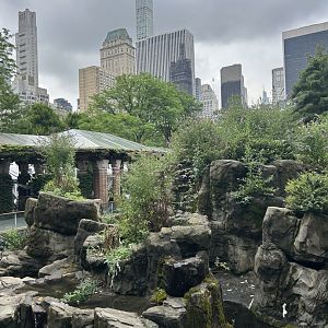 Temperature Territory: Japanese Macaque (Snow Monkey) Exhibit Upper Viewing