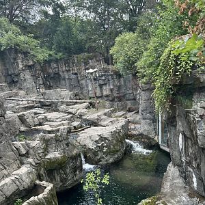 Temperate Territory: Grizzly Bear Exhibit
