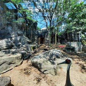 Rotational Asian Bird Exhibit