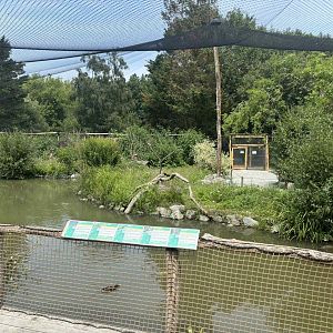 New Asian walkthrough aviary