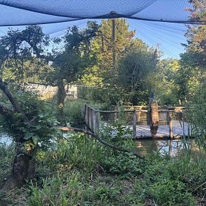 New Asian walkthrough aviary