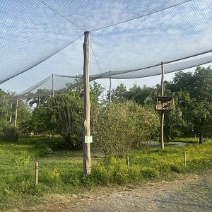 African walkthrough aviary