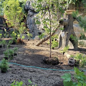 Jul. 2025 - Black Bear Ridge Construction Update (Plants)