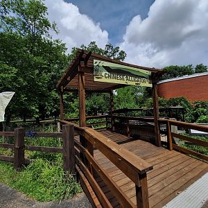 Chinese Alligator Enclosure