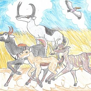 Protoceratid Prairie