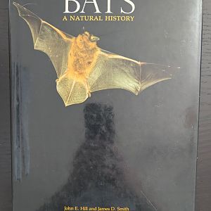Bats: A Natural History