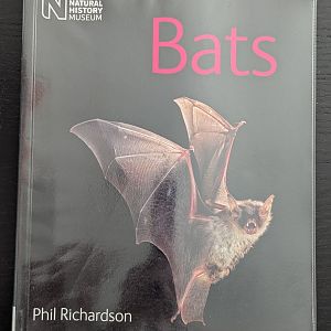 Natural History Museum: Bats