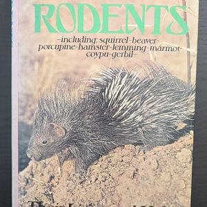 Rodents - Including: Squirrel-Beaver-Porcupine-Hamster-Lemming-Marmot-Coypu-Gerbil-Their Lives and Habits