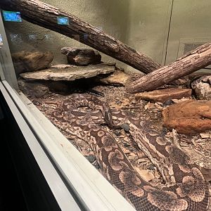 Reptile House