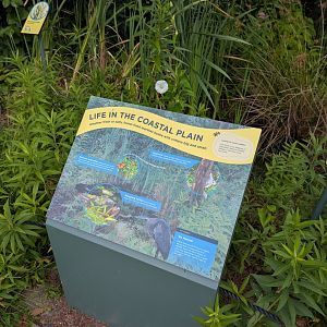 New Waterfront Park Graphics