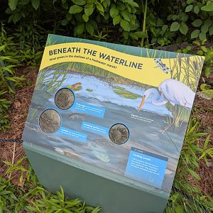 New Waterfront Park Graphics