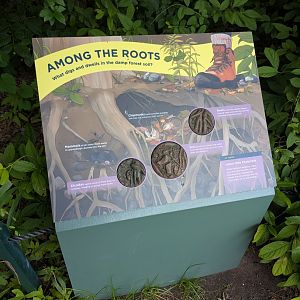 New Waterfront Park Graphics