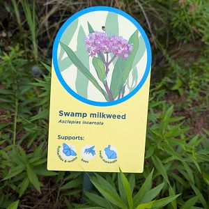 New Waterfront Park Graphics