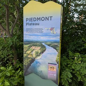 New Waterfront Park Graphics