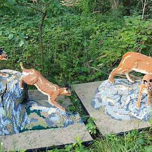 Brick Safari temporary summer event - Lego caracals, 2023-07-26