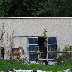 Mountain bongo side of the new African ungulate house, finished in 2023, 2023-07-26
