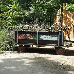 Cart with browse for the bongos, 2023-07-26