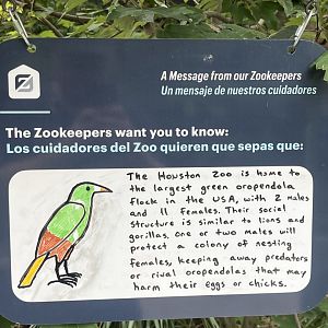 Pantanal-Savanna Aviary