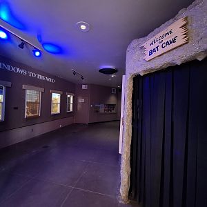 Greater Spear-nosed Bat and Swift Fox enclosures