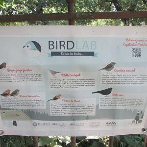 Jardin des Plantes de Paris - Bird species
