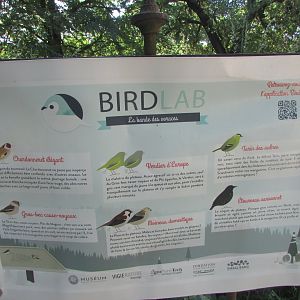 Jardin des Plantes de Paris - Bird species