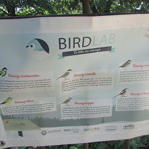 Jardin des Plantes de Paris - Bird species