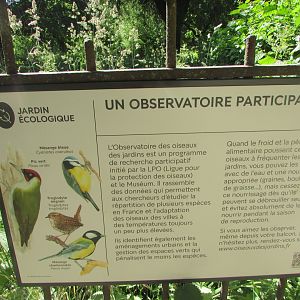 Jardin des Plantes de Paris - Bird species