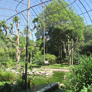 Jardin des Plantes de Paris - Inside walkthrough aviary