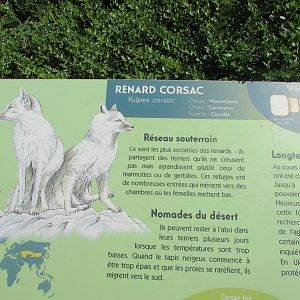 Jardin des Plantes de Paris - Signage for Corsac fox