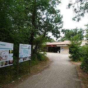 Enrtance view -Zoodyssée (2025)