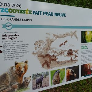 Masterplan explaination signae -Zoodyssée (2025)