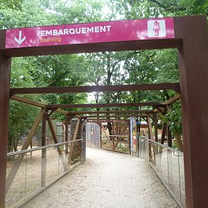 The start of your "Odyssée" -Zoodyssée (2025)