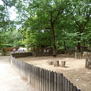 View of "Graine d’Odyssée"  -Zoodyssée (2025)