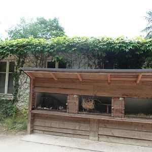 Guinea pig and Domestic rabbit coop -Zoodyssée (2025)