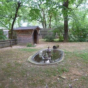 Poitevin marsh grey goose exhibit -Zoodyssée (2025)