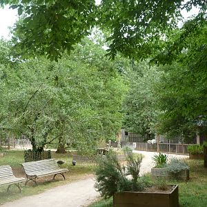 View of "Graine d’Odyssée" -Zoodyssée (2025)