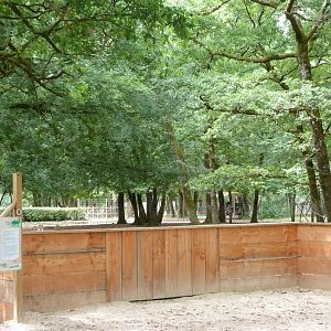 European fallow deer and European white stork exhibit vieiwng area -Zoodyssée (2025)